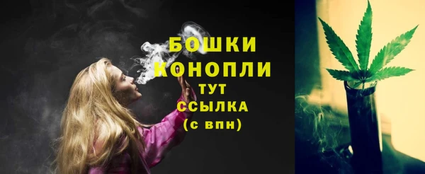 ECSTASY Покровск