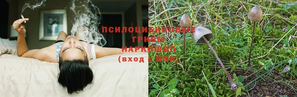 шишки Баксан