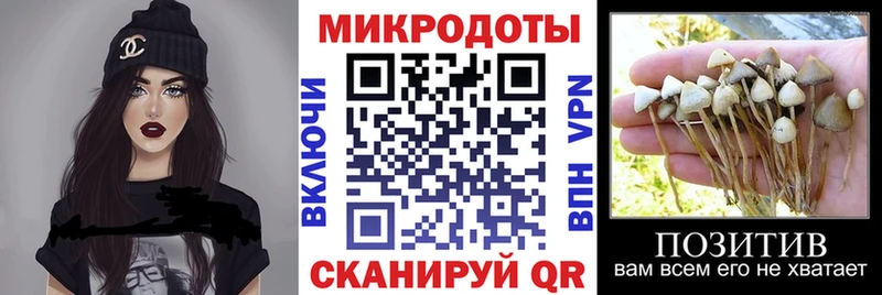 купить закладку  Щучье  Галлюциногенные грибы Cubensis 
